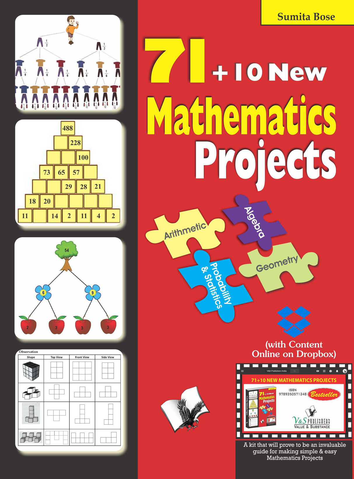 71+10 New Mathematics Projects (With Online Content on  Dropbox): For beginners, intermediate and engineering students